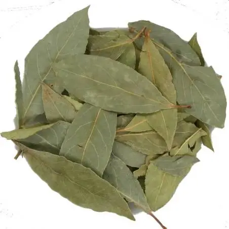 Laurel en hojas